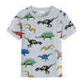Kids dinosaur t-shirt